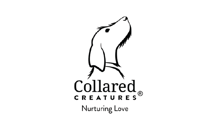 Donation Company Logo
